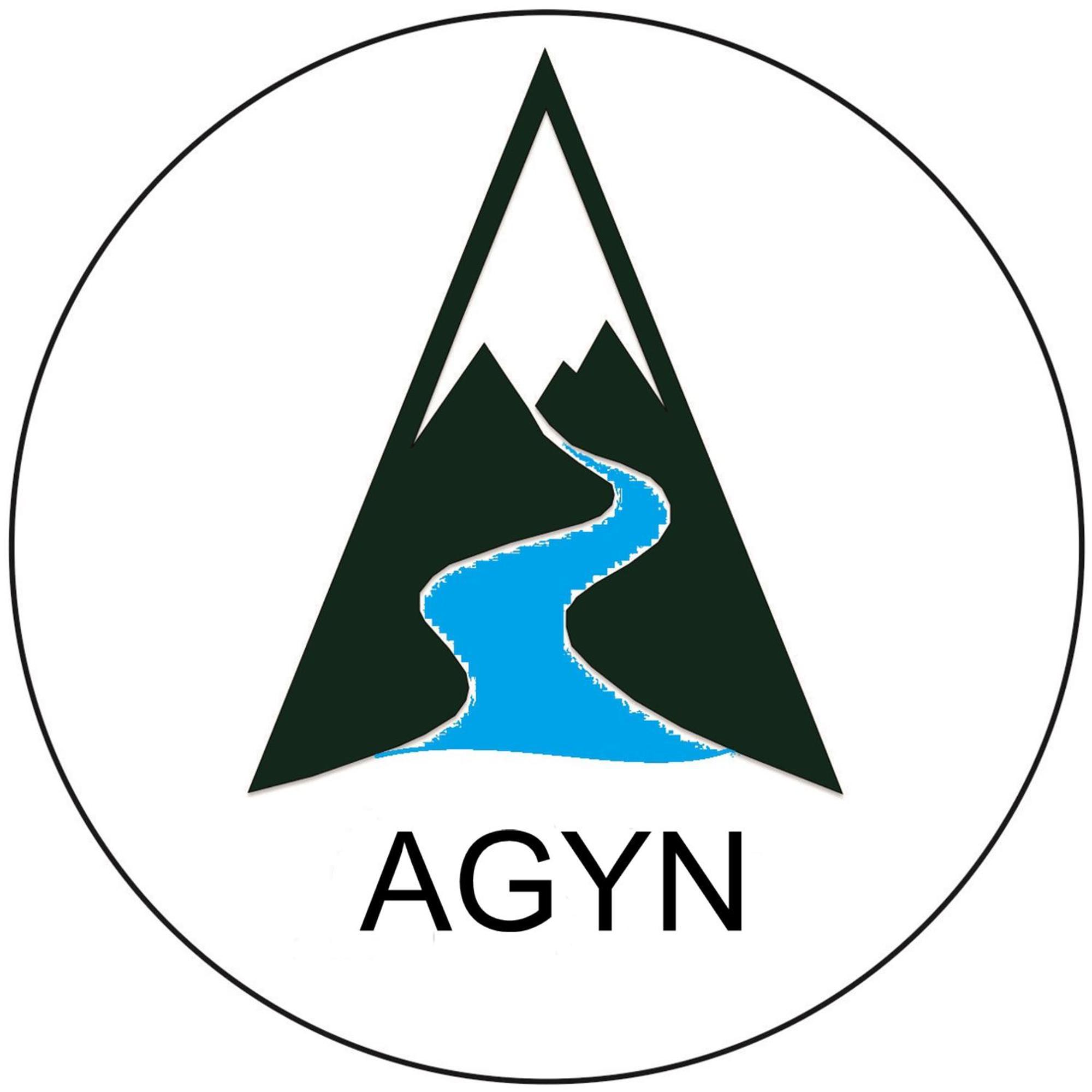 Agyn Guest House Karakol Eksteriør bilde